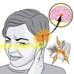 Scientists found a new way to target brain aging.