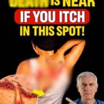 Doctors reveal that eating bananas before bed can lead to… See more