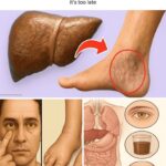 Dry Mouth at Night: 8 Warning Signs You Shouldn’t Ignore