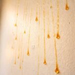 I had never heard of that before