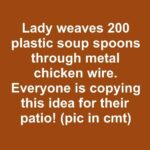 Lady weaves 200 plastic soup spoons through metal chicken wire. Everyone is copying this idea for their patio!.