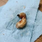 The Oldest Doctor in Japan Reveals: Drink Only 1 Glass and CLEANSE Your Entire Colon in 10 Minutes!… You need to say something to continue receiving my recipes
