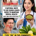 5 foods rich in estrogen