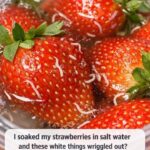 Baking Soda on the Face: Benefits, Risks, and How to Use It Safely…