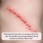 A woman’s chin hair is a sign of…See more