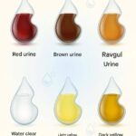 Note that if you always sleep on your right side, you should have… See more