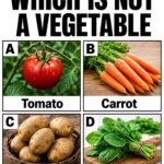 Have you ever tasted it? Do you know what it’s called?