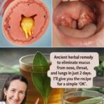 Drink Just One Glass and Cleanse Your Colon