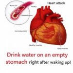 You are doing it all wrong. Here’s the right way to drink pickle juice