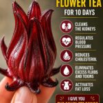 The plant that “prays” to attract luck and prosperity to your home.